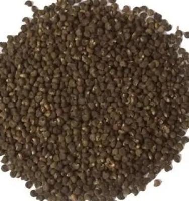 Sri Herbal Mushk Dana –Aromatic Herb for Digestion and Relaxation